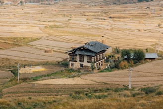 black and white house on brown field during daytime