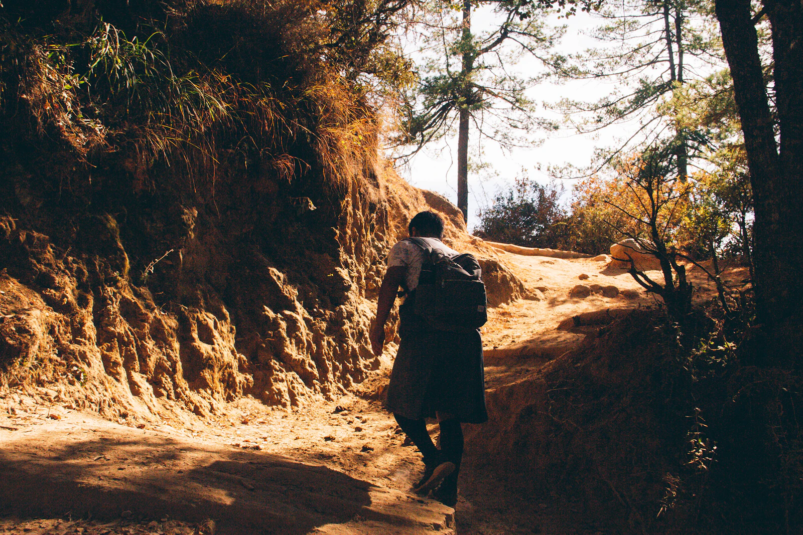 A walker in a gho with a daypack climbs a dusty, sunlit trail through pines on the way to Taktsang above Paro