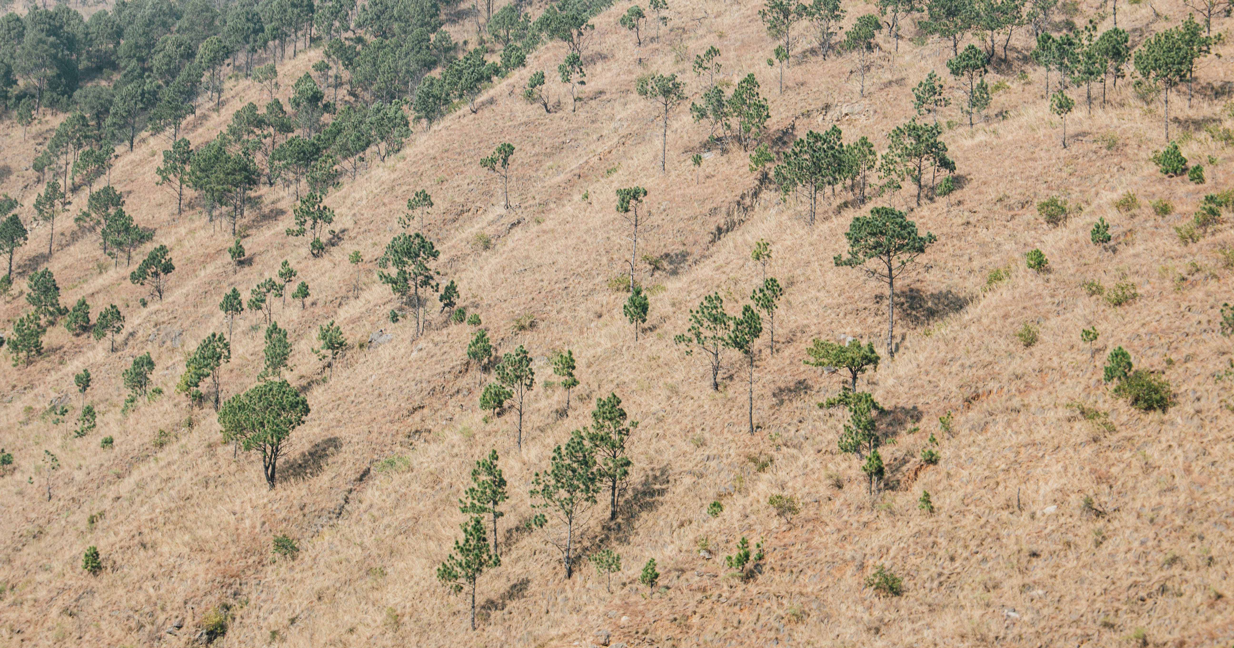 Photo by aaron_santelices