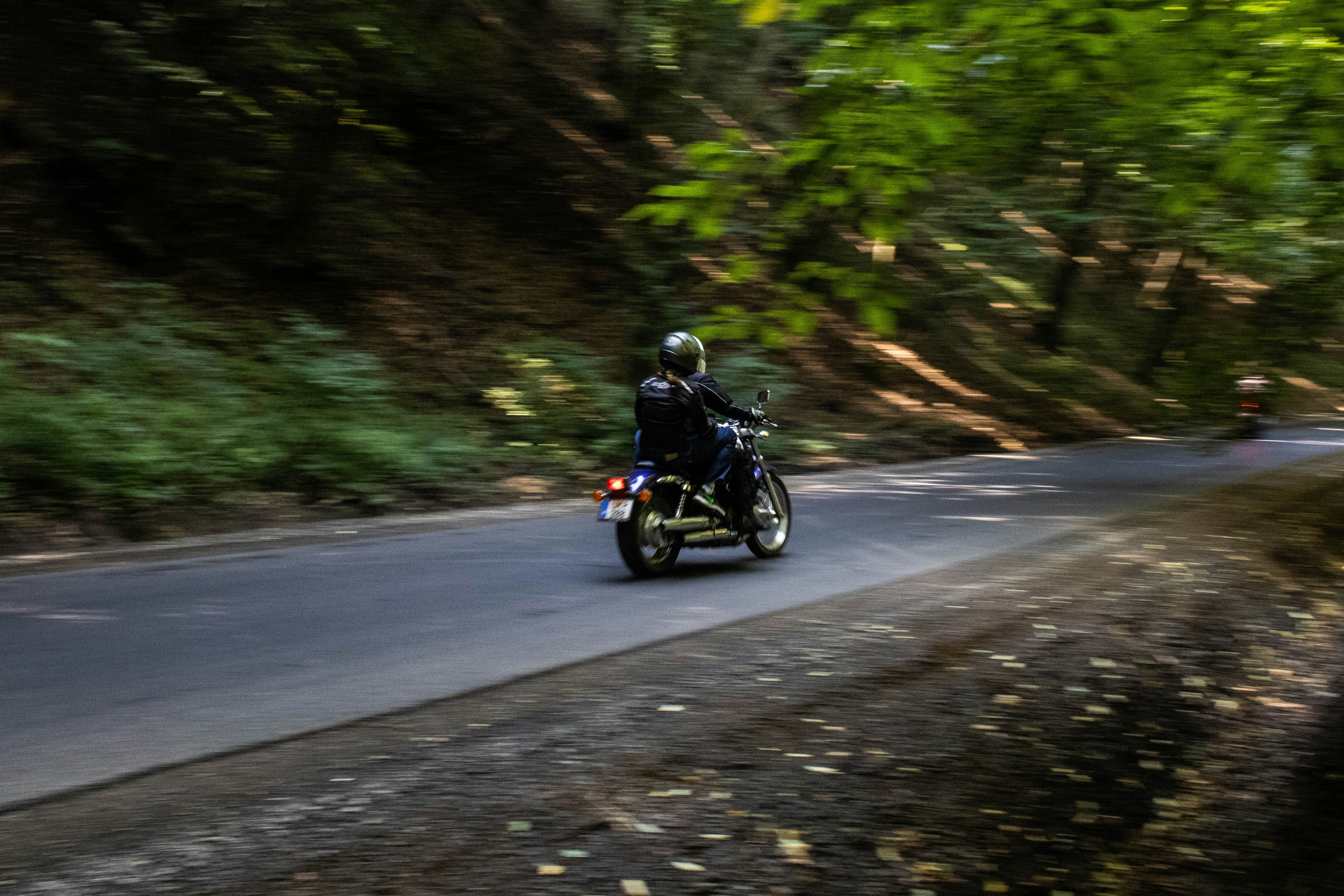 Photo by horvathdavid