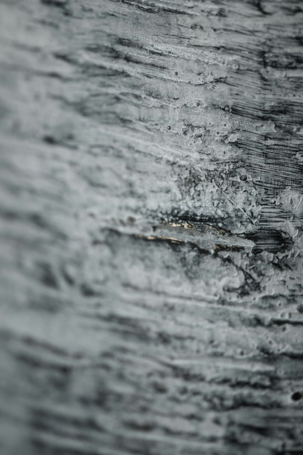 water droplets on gray wood