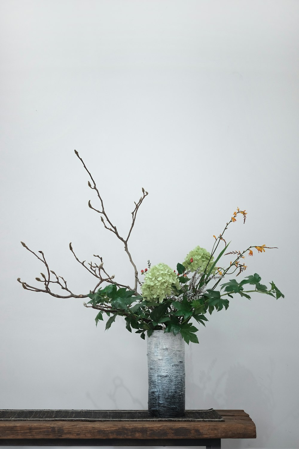 green plant on white ceramic vase