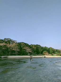 A vibrant tour group exploring a scenic beach in Lombok with clear blue skies.