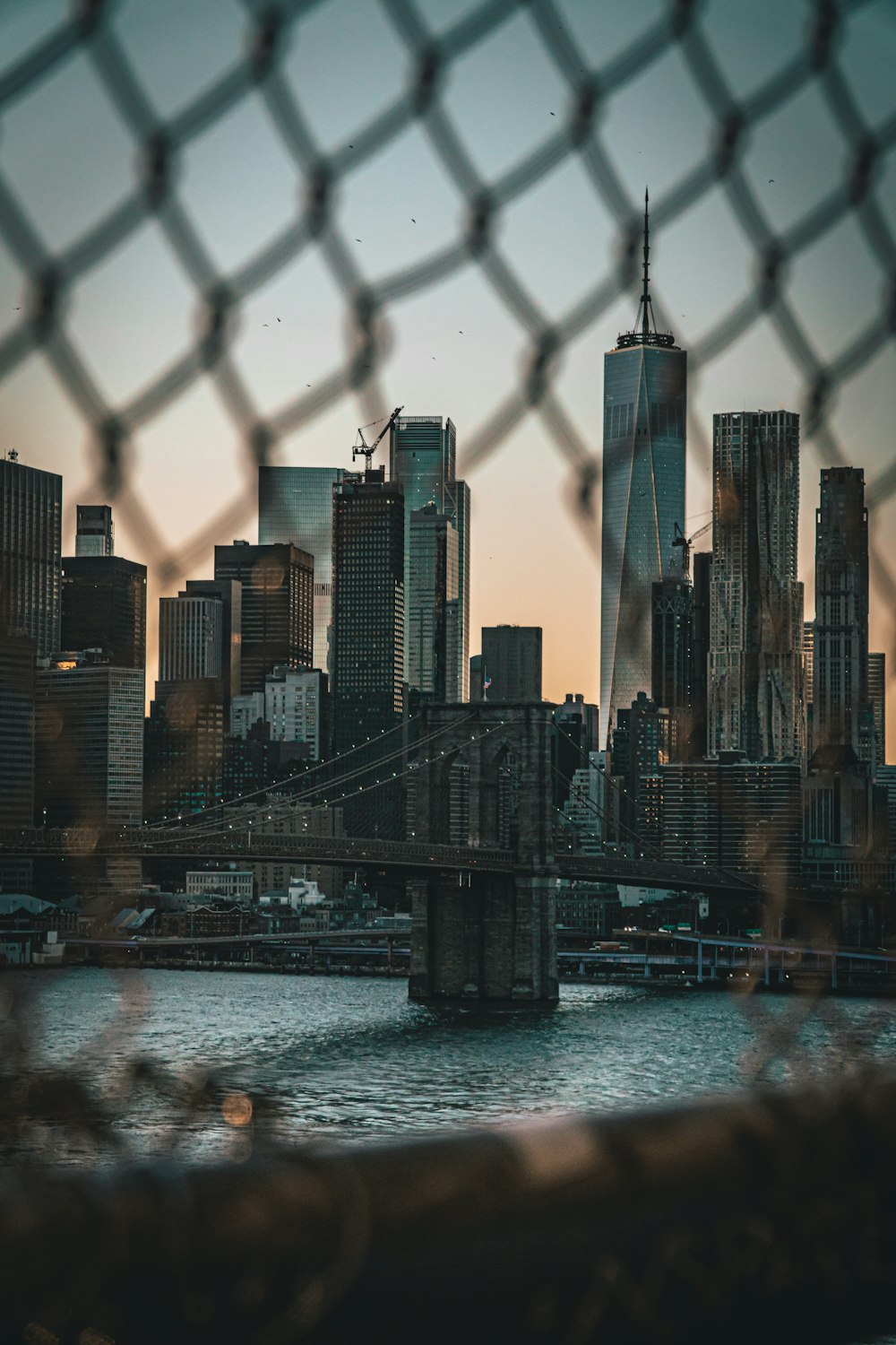 city skyline during night time