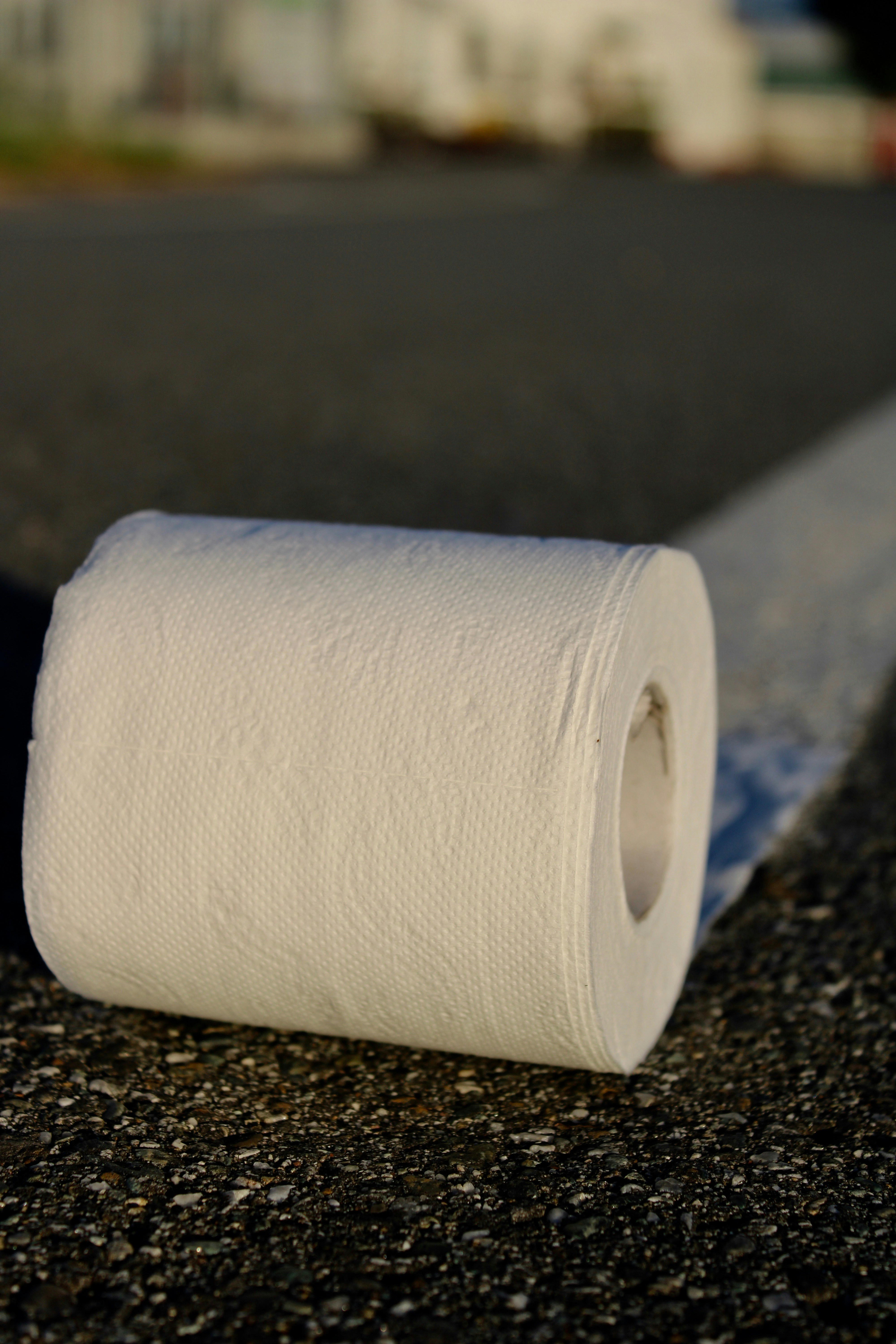 Photo by cippicippiphoto