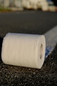A roll of toilet paper sits on an asphalt surface with a blurred background, suggesting an outdoor setting.