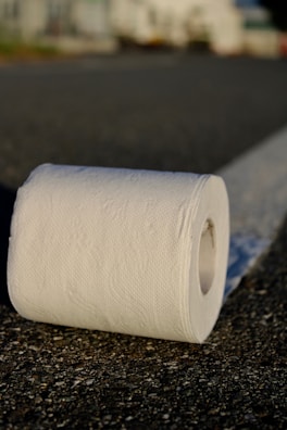 A roll of toilet paper sits on an asphalt surface with a blurred background, suggesting an outdoor setting.