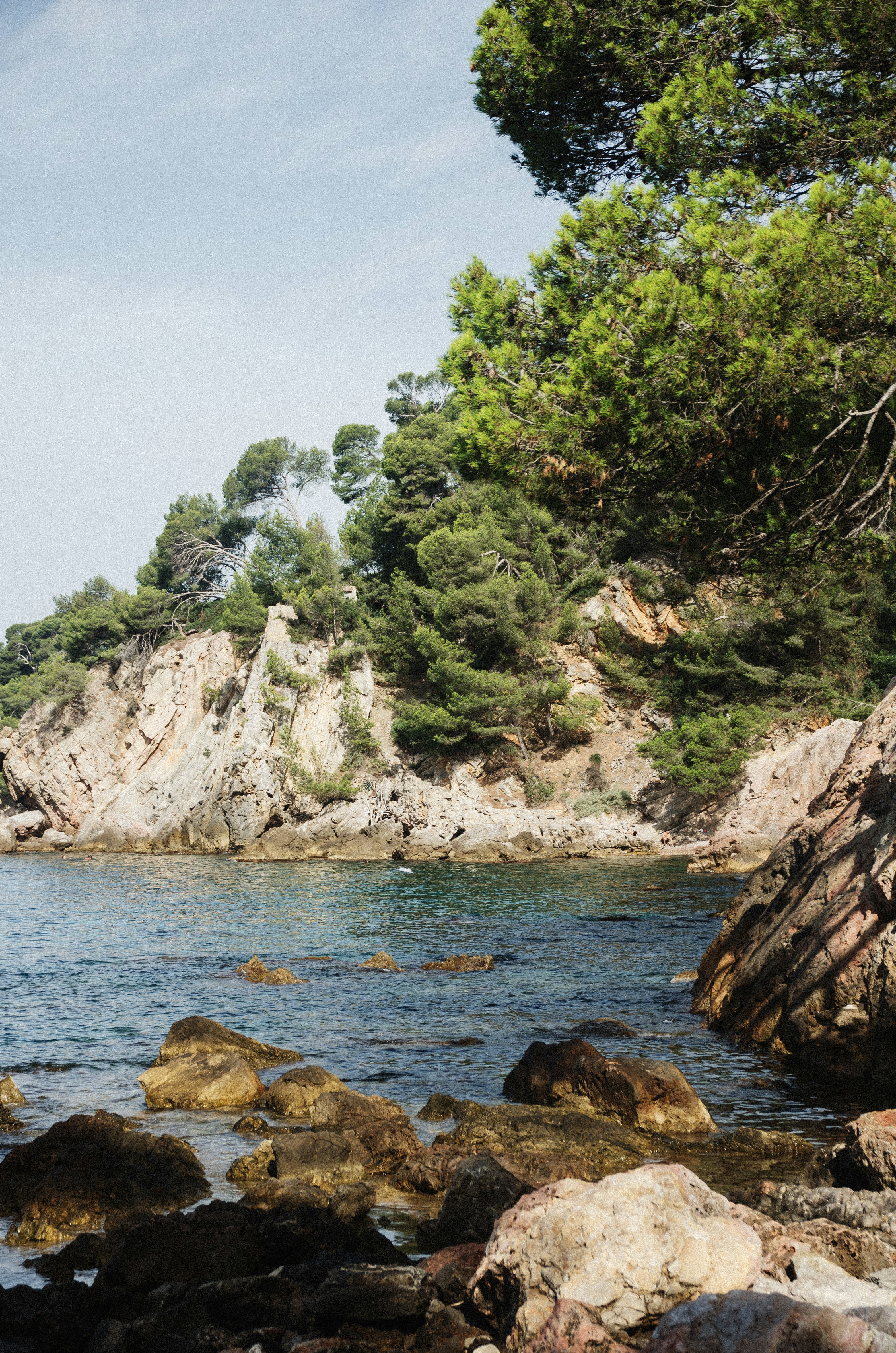 Photo by indianashat