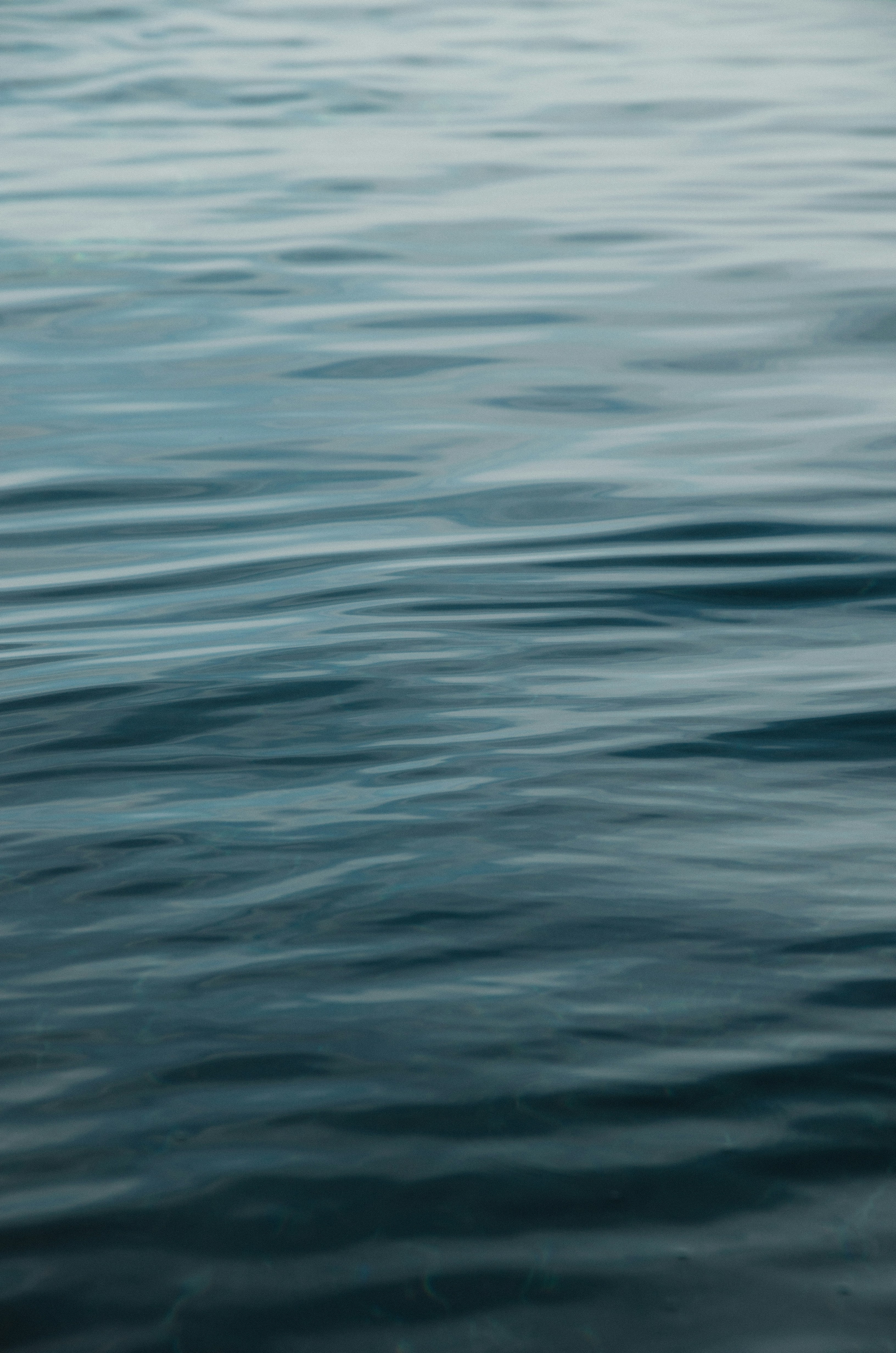 Photo by indianashat