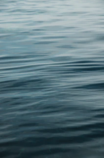 A calm ocean surface at dawn with soft blue hues reflecting the sky.