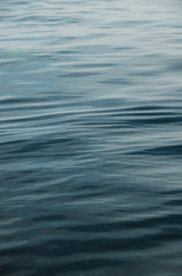 A calm ocean surface at dawn with soft blue hues reflecting the sky.