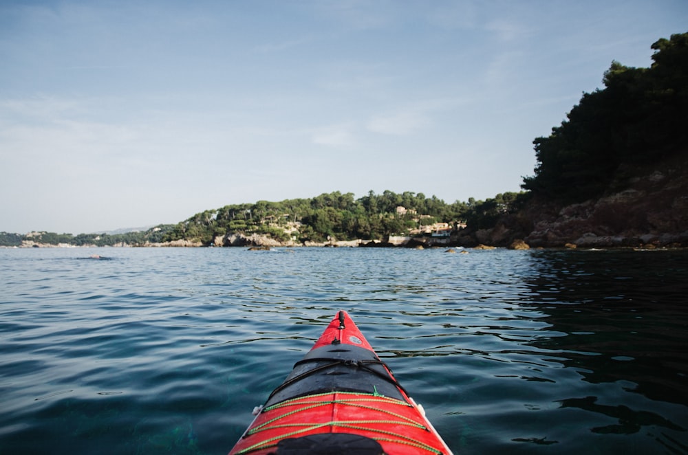 red kayak on body of water near green trees during daytime