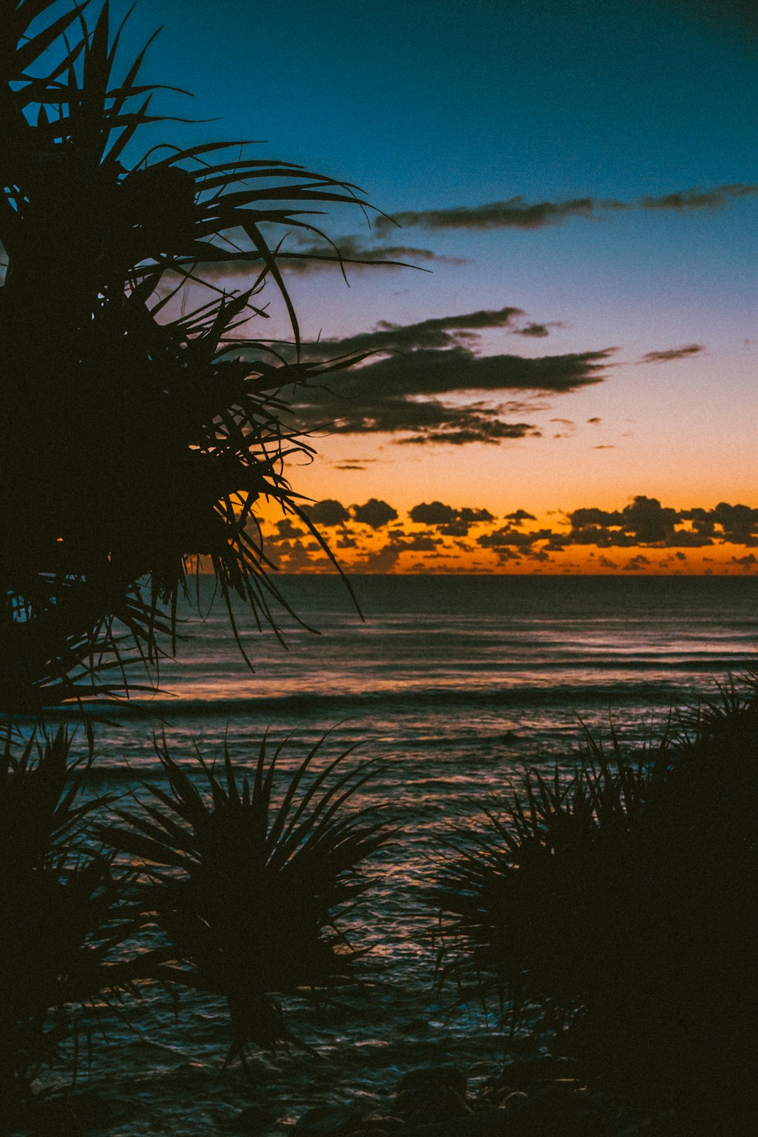 Ocean photo spot Burleigh Beach Greenmount Beach