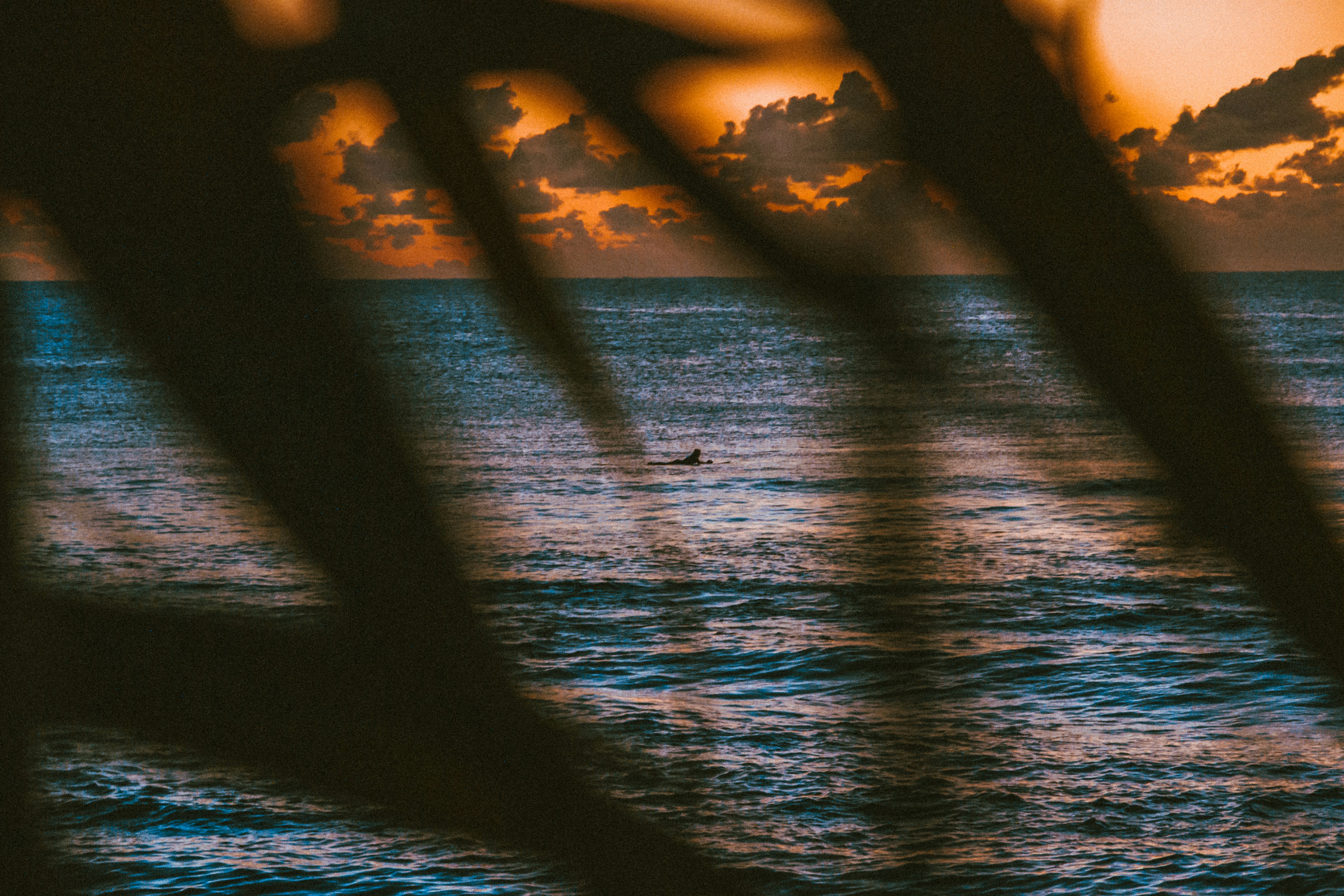 Photo by apollophotog