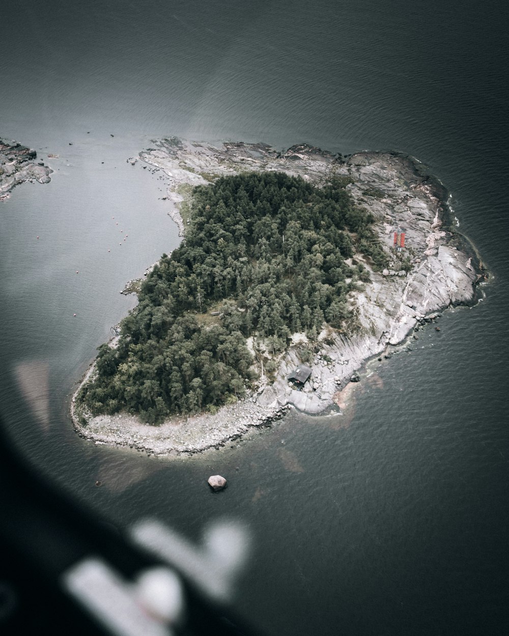 aerial view of green trees on island during daytime