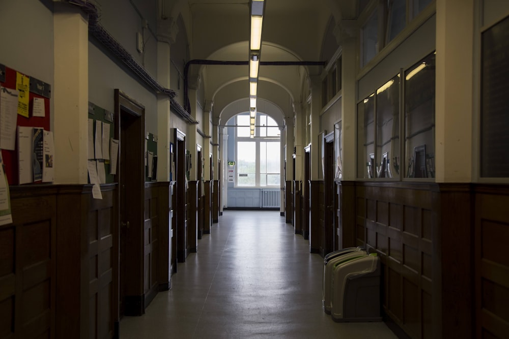 brown wooden chairs inside building