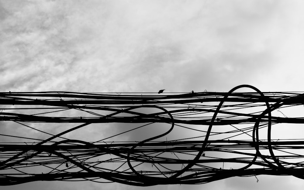 black and white photo of electric wires