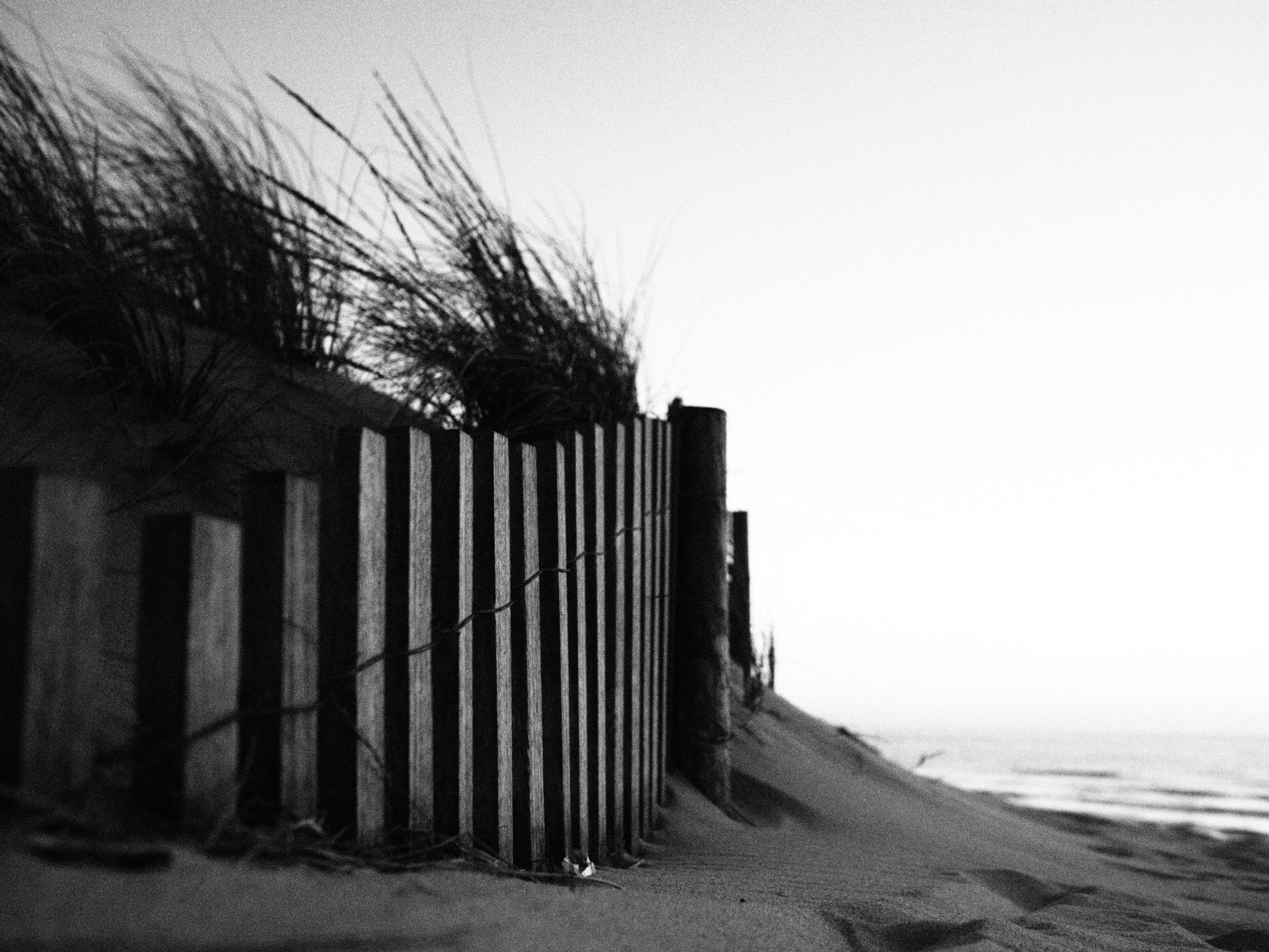 Photo by afonsosv