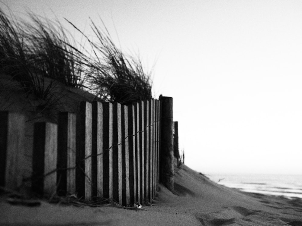 grayscale photo of wooden fence near body of water