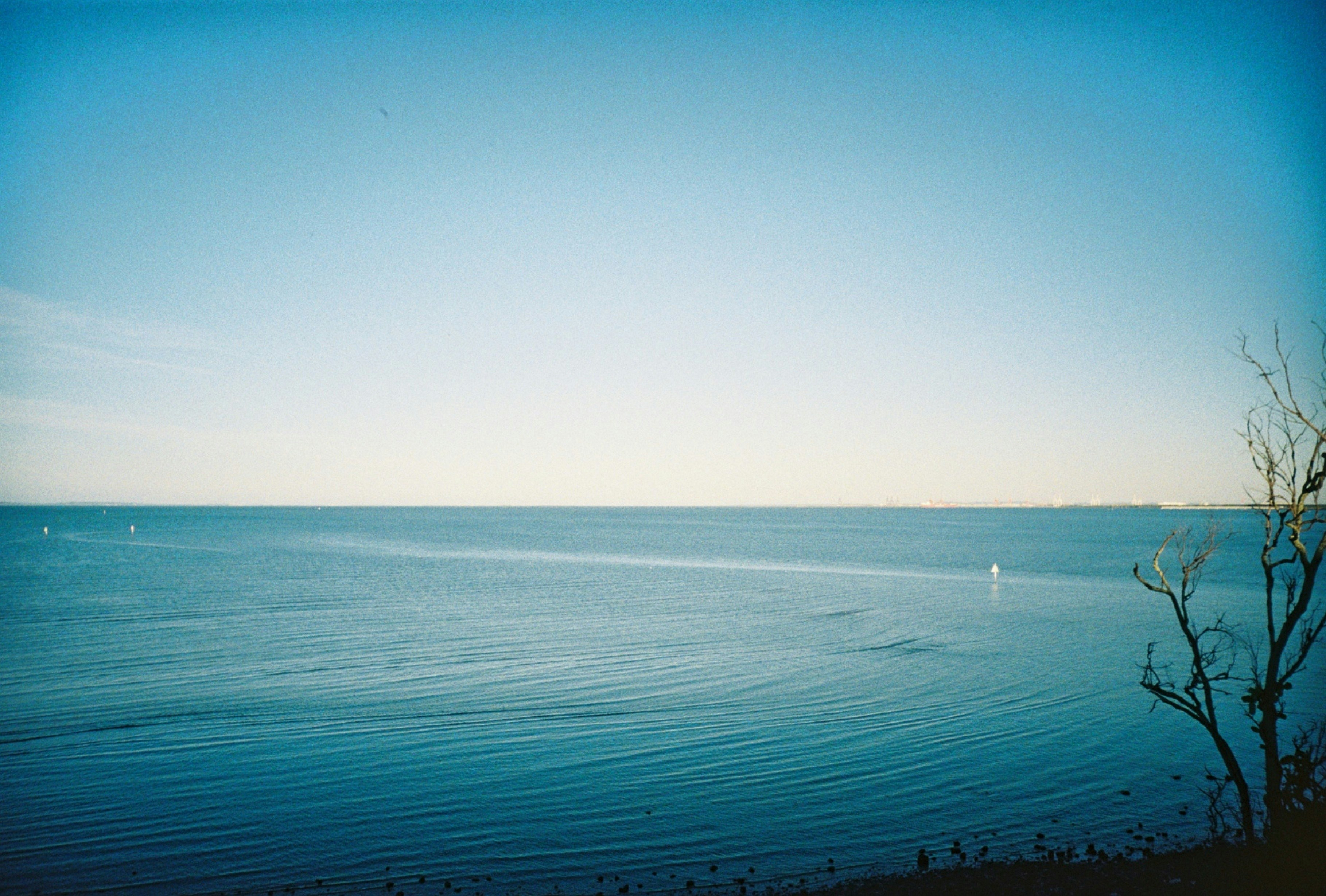 Photo by teagan_emily