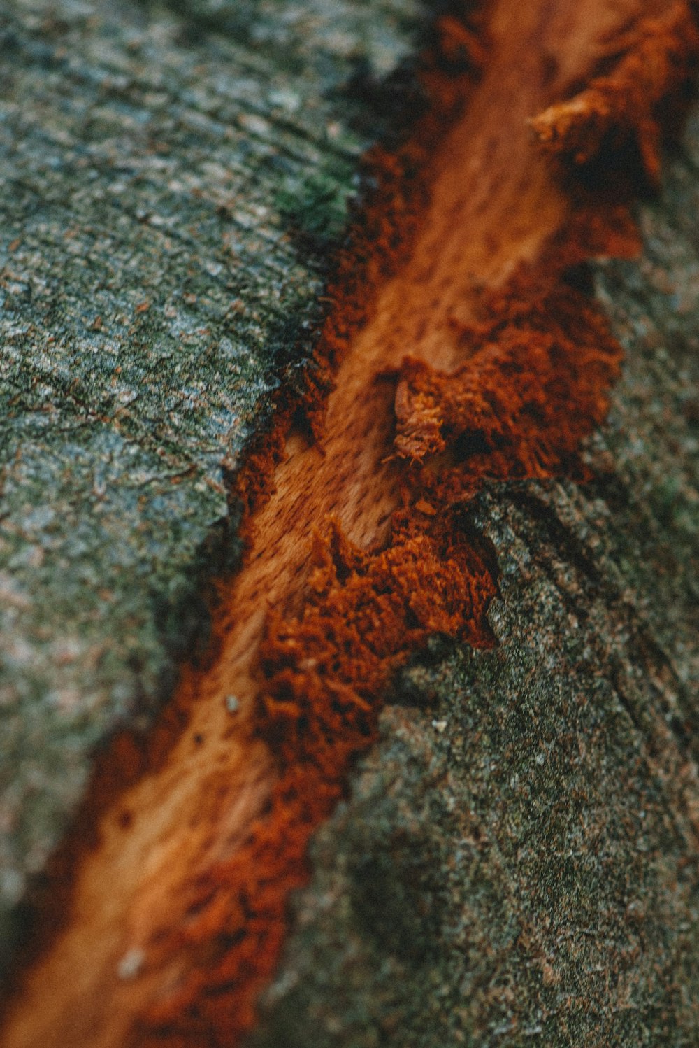 brown and green knit textile