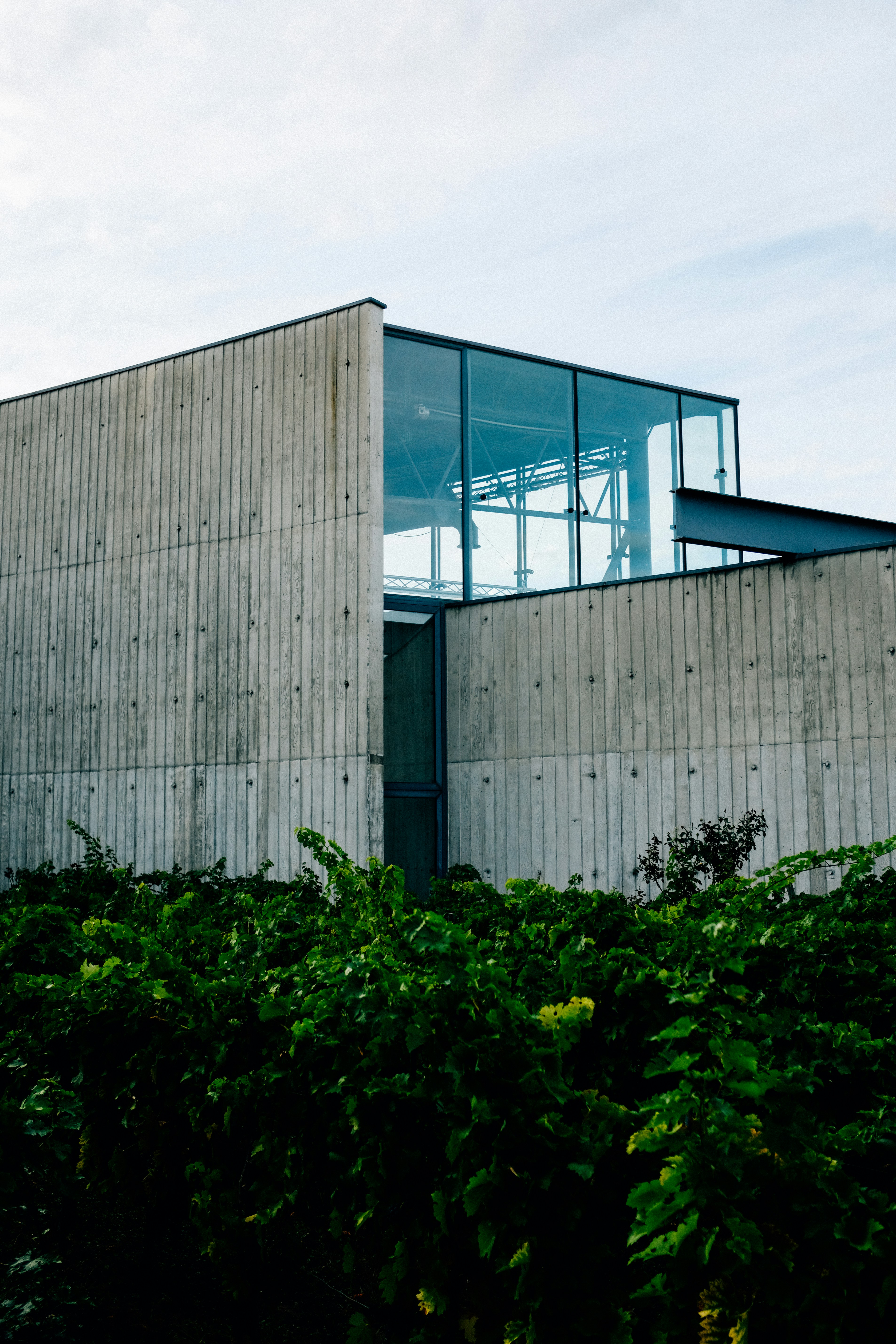 Photo by adrienolichon