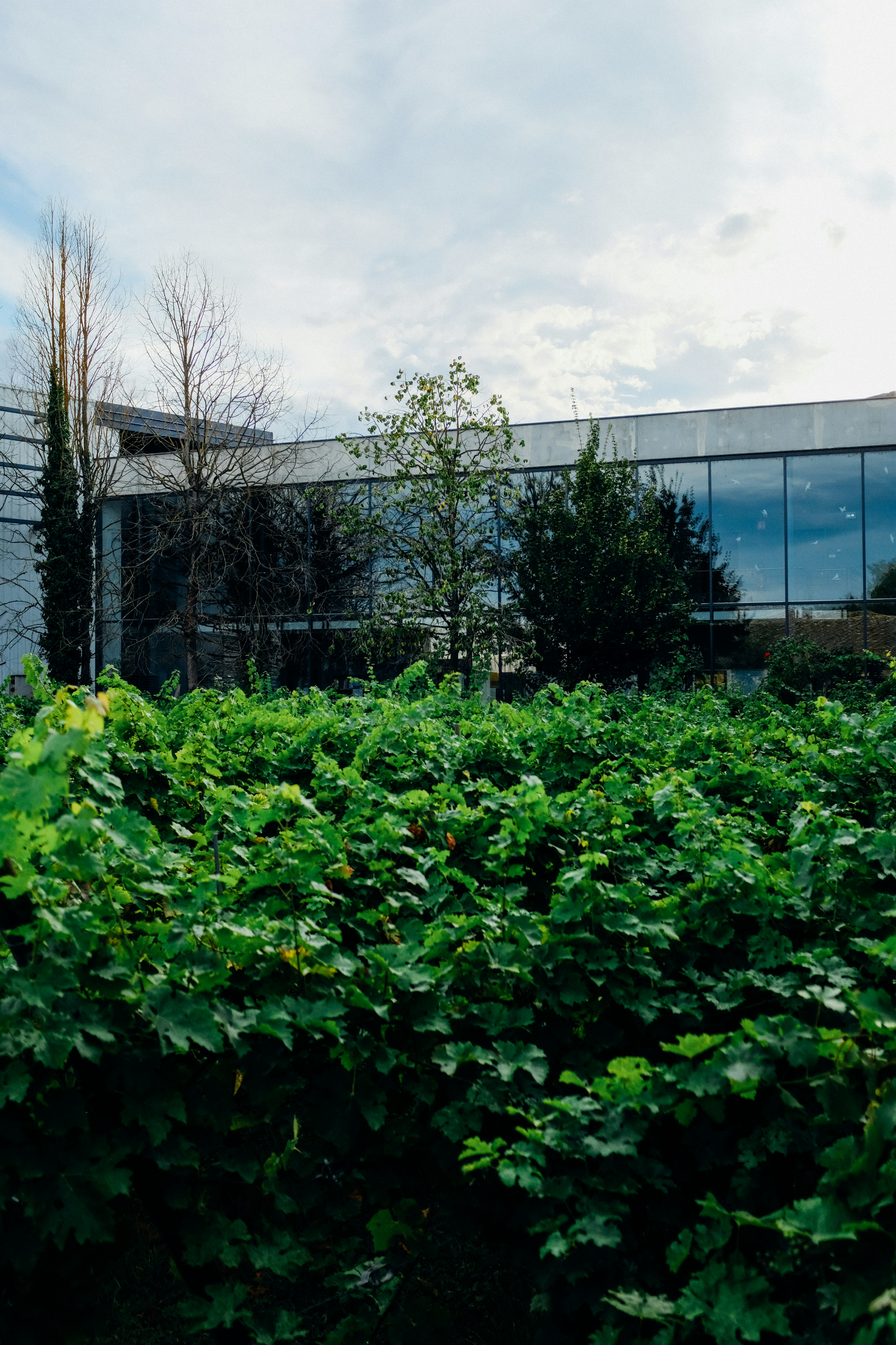 Photo by adrienolichon