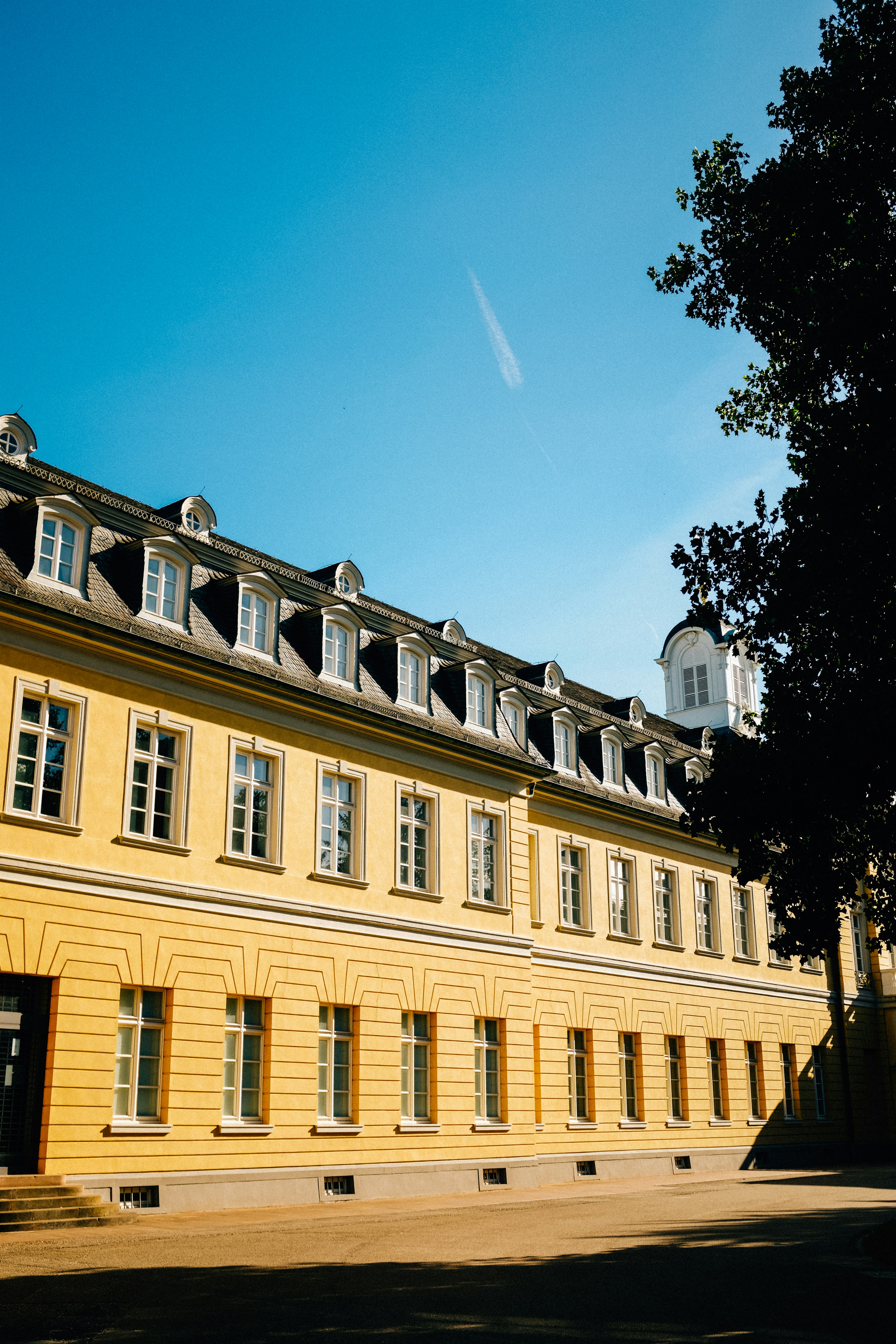 Photo by adrienolichon