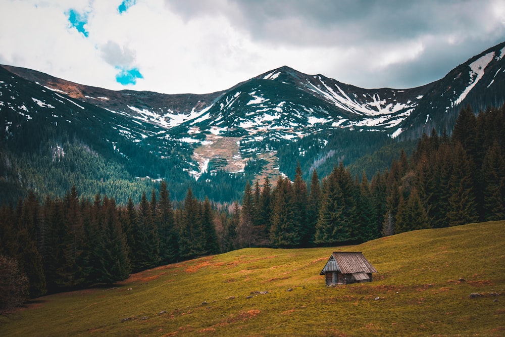 casa de madeira marrom no campo de grama verde perto da montanha coberta de neve durante o dia