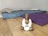 A serene therapy room with calming decor.