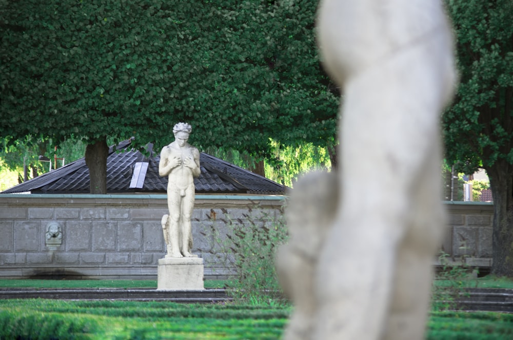 statue of man on green grass field