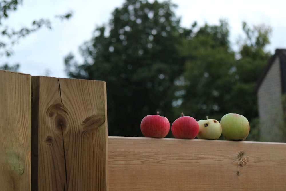 red and green apple fruits on brown wooden fence during daytime