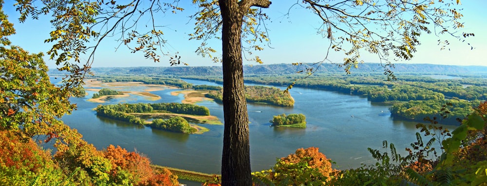 Grünes Grasfeld in der Nähe von Gewässern tagsüber