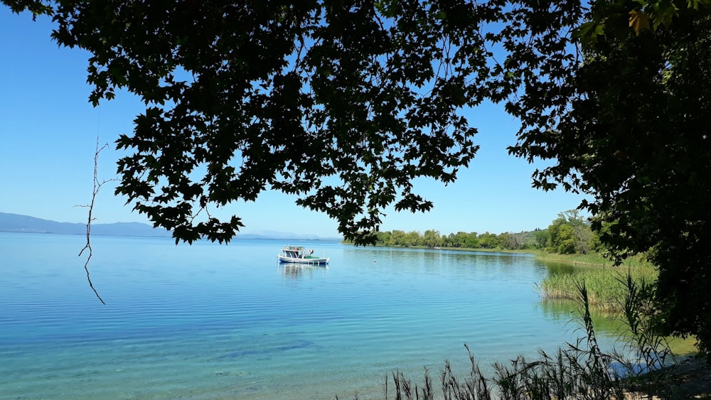 white boat on body of water during daytime