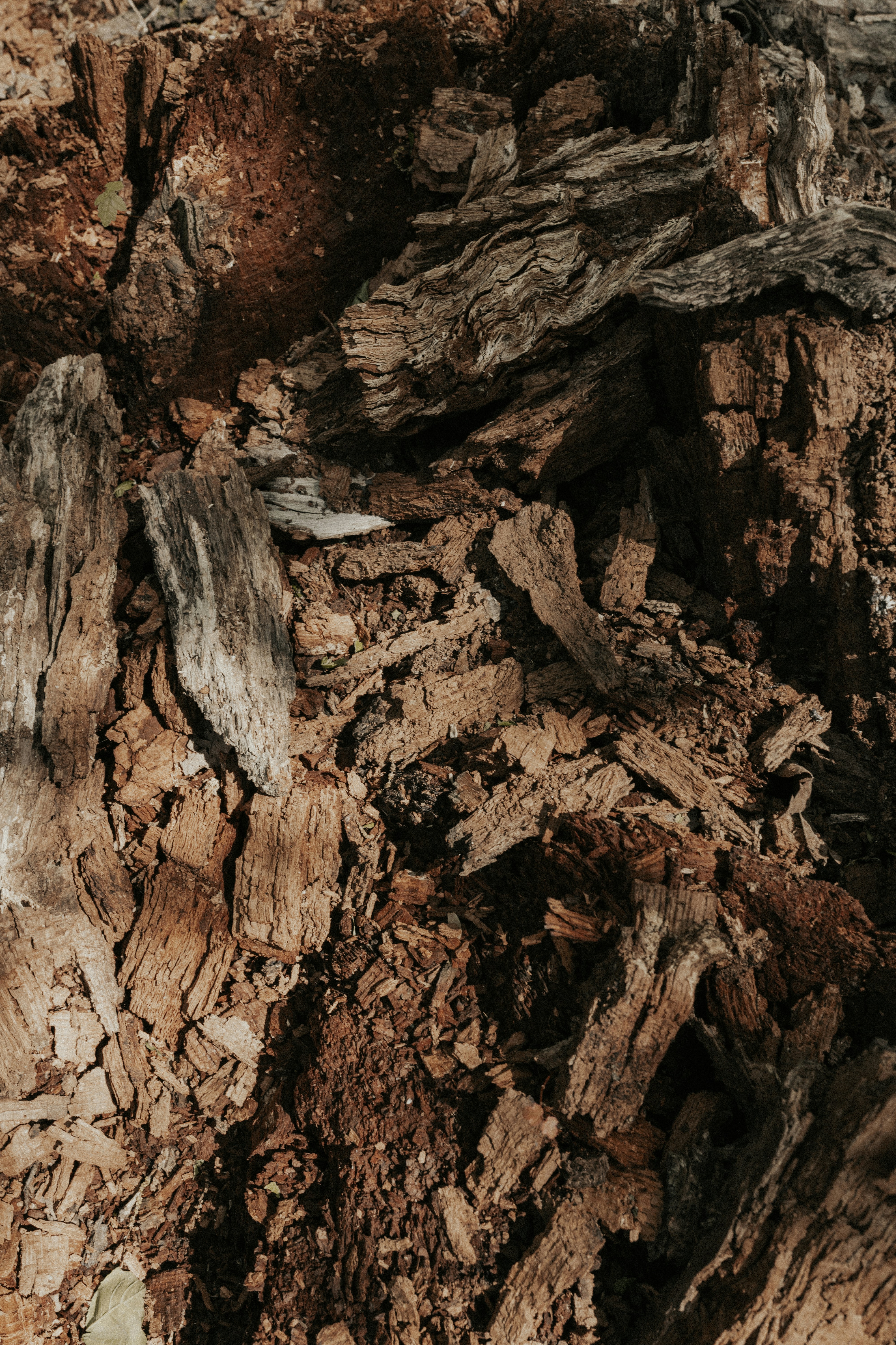 Photo by marinamoura