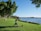 A person is practicing yoga on a mat in a grassy park next to a body of water. The sky is clear and blue, and there are large trees providing shade nearby. A laptop is placed on the grass next to the mat. The scene is peaceful and serene with no visible disturbances.