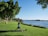 A person is practicing yoga on a mat in a grassy park next to a body of water. The sky is clear and blue, and there are large trees providing shade nearby. A laptop is placed on the grass next to the mat. The scene is peaceful and serene with no visible disturbances.