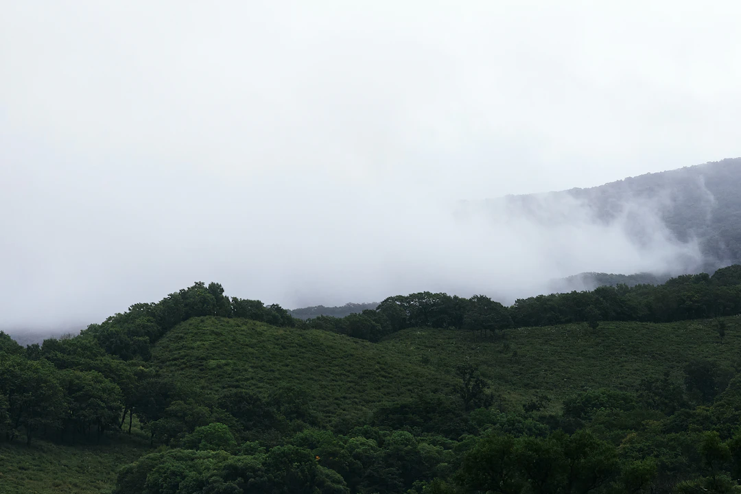 13-Day Central Africa Budget Scenic Itinerary