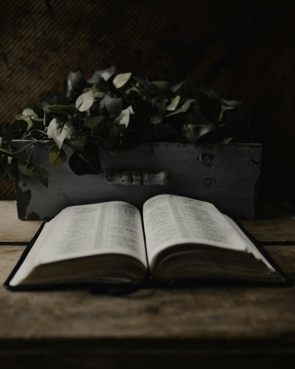 green plant on book page