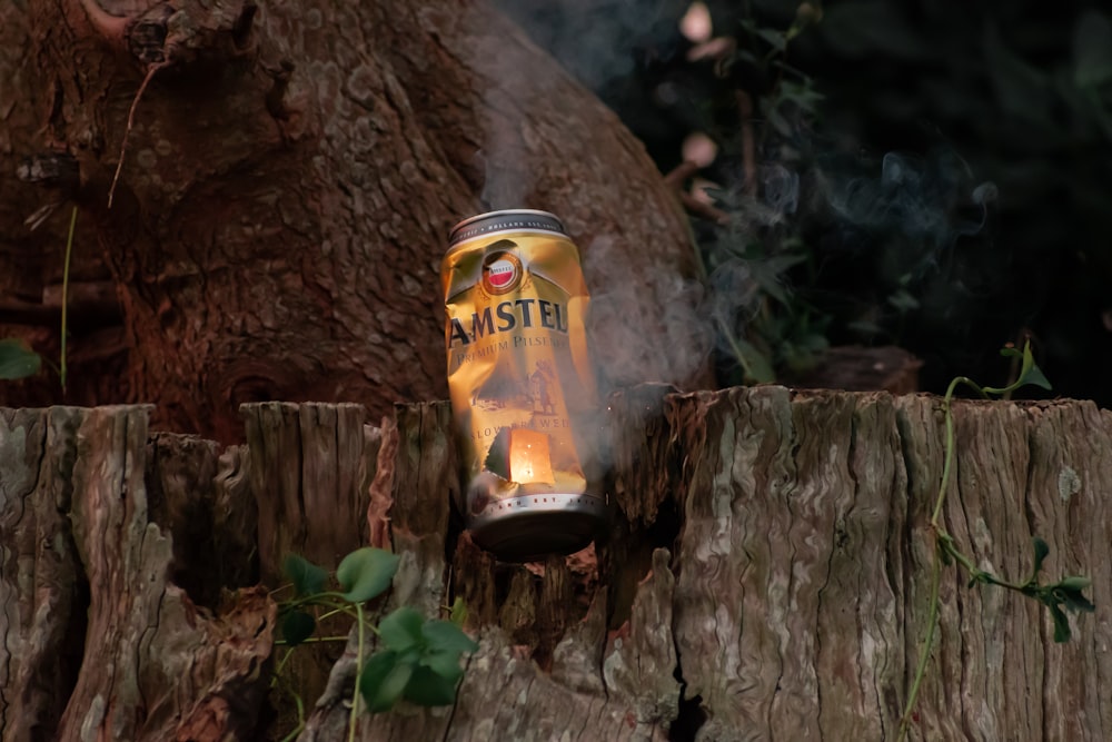 yellow and black can on brown tree trunk