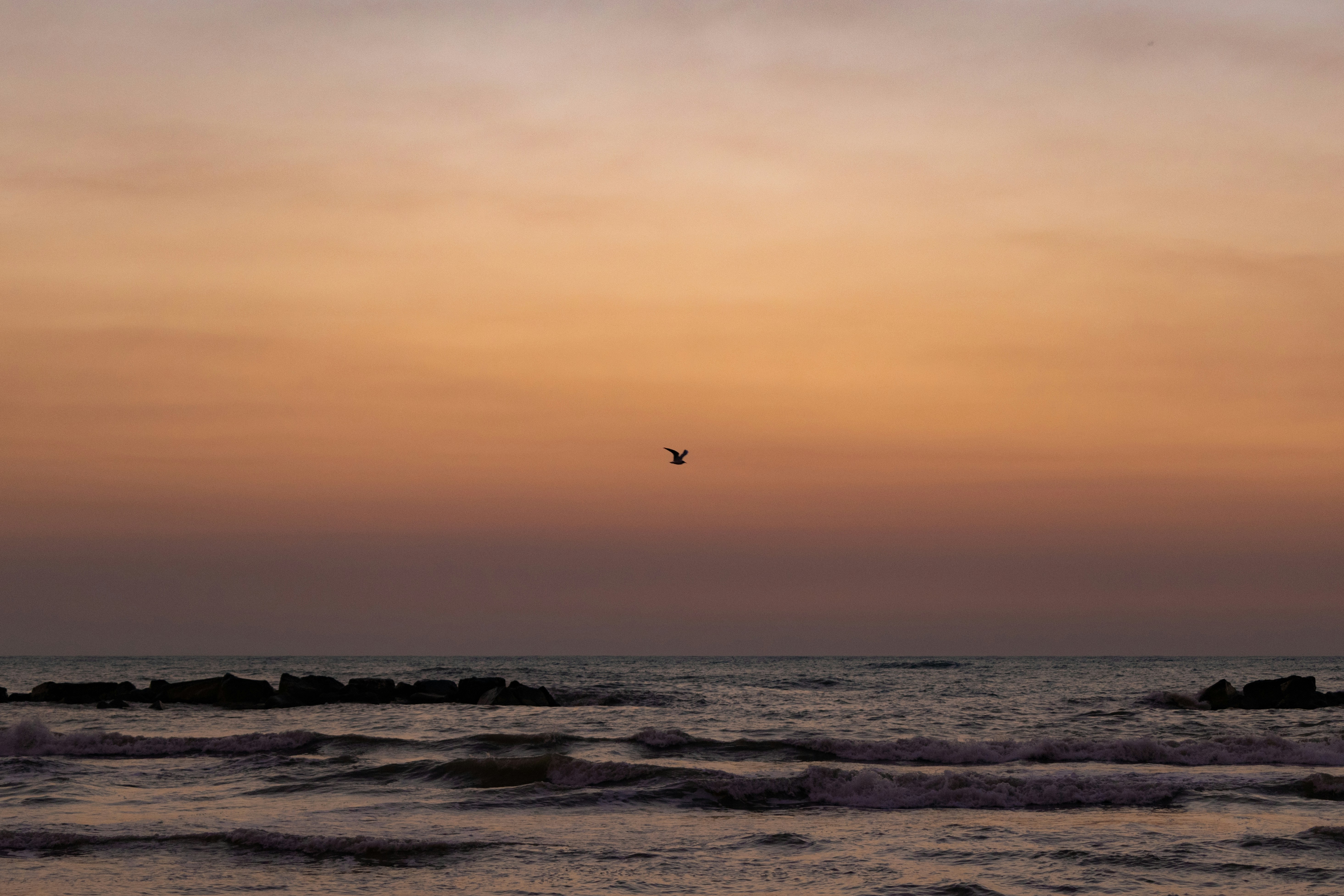 Roadtrip door Le Marche