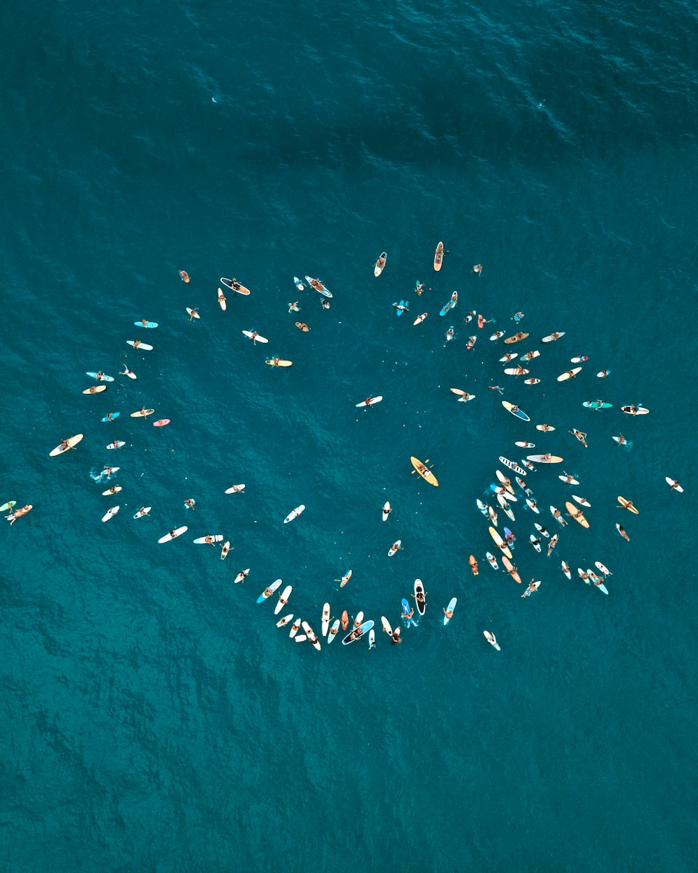 uccello bianco e nero che vola sopra il mare