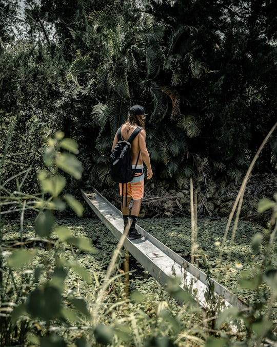 woman in orange and black backpack standing on brown wooden bridge surrounded by green plants during in Jupiter United States