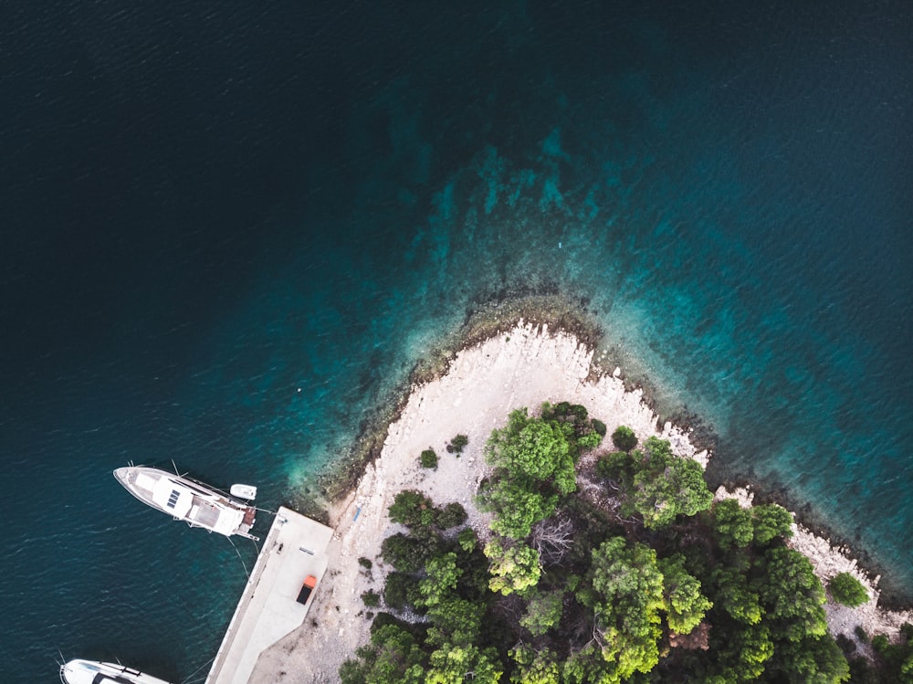 aerial view of green trees beside body of water during daytime