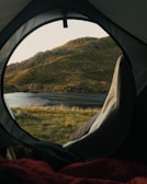 View from inside the camper looking out onto a peaceful forest landscape.