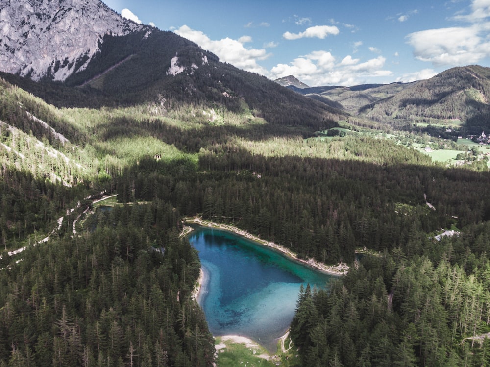 green trees near lake and mountain under blue sky during daytime