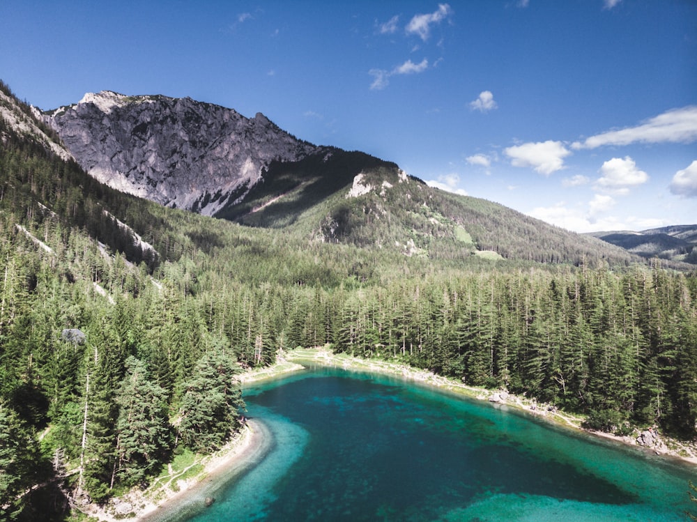 green trees near lake and mountain under blue sky during daytime