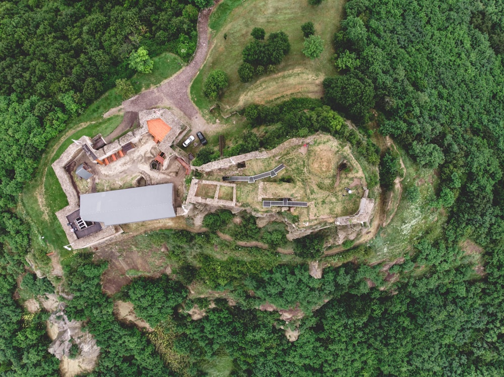 aerial view of green trees and houses