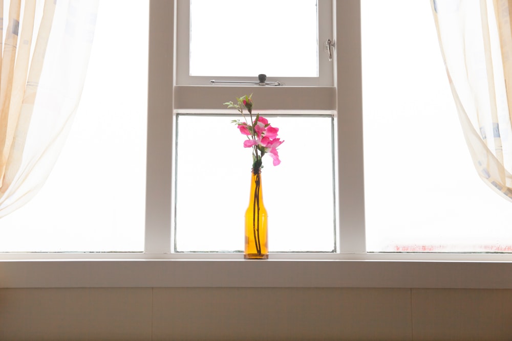 pink and yellow flower in yellow vase on window