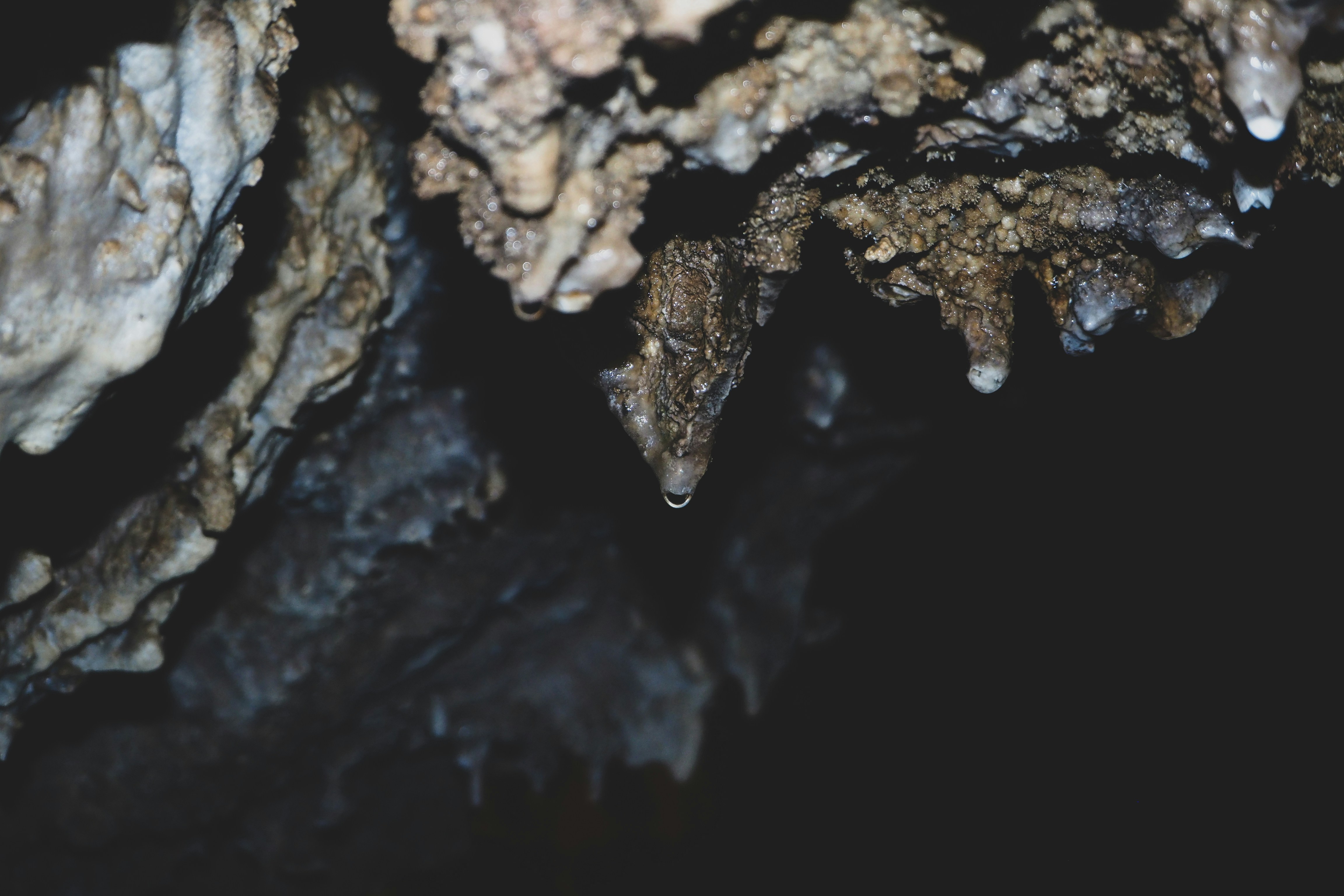 The Cannibal Caves of Gough’s Cave: Ritual Consumption? (image credits: unsplash)